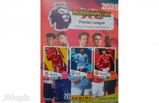 Panini Premier League 2025 Team Mate kártya