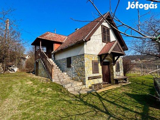 Panorámás Pince Balatonszőlősön eladó!