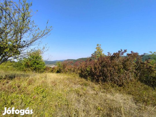 Panorámás külterületi telek eladó Verőcén, Fehérhegyi-dűlőn