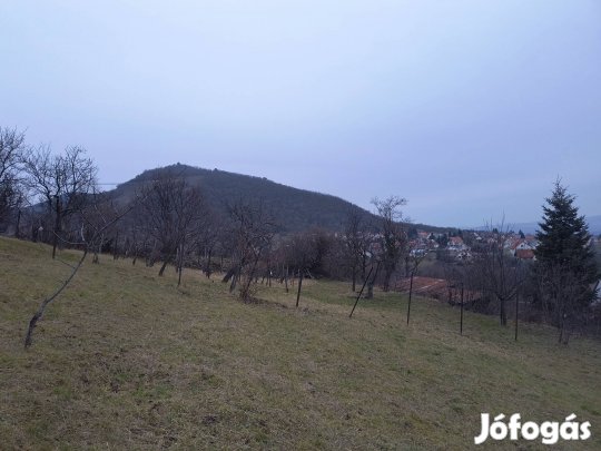 Panorámás összközműves építési  telek Sátoraljaújhelyen
