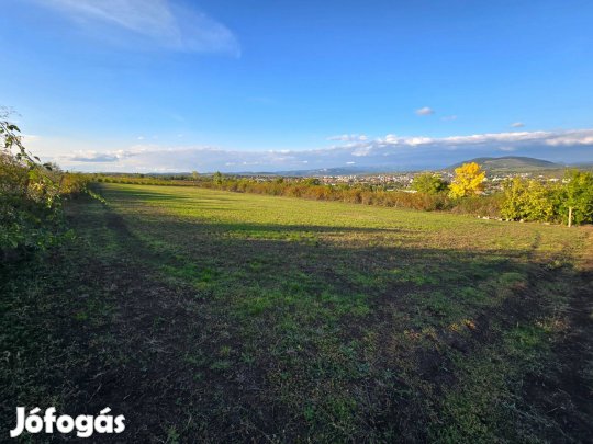 Panorámás szőlőterület Kis-galagonyáson eladó