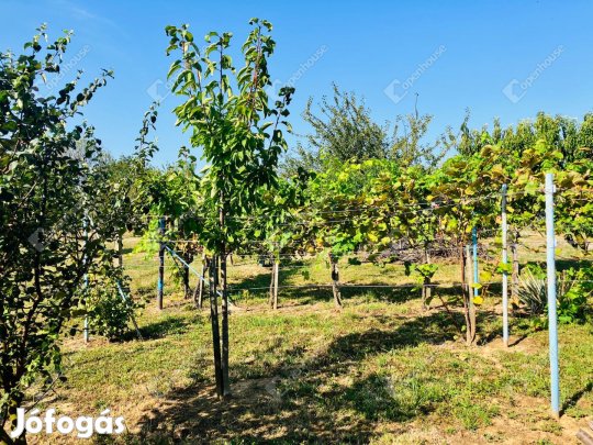 Panorámás telek Alsópáhokon