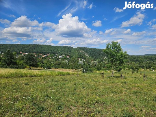 Panorámás telek a II. kerület határában