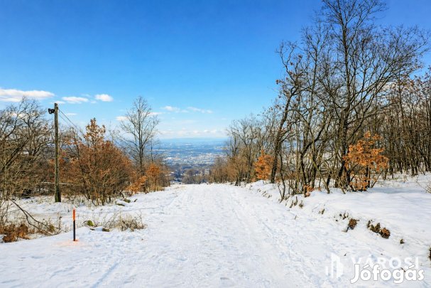Panorámás telek eladó Szentendrén, Pismány tetején