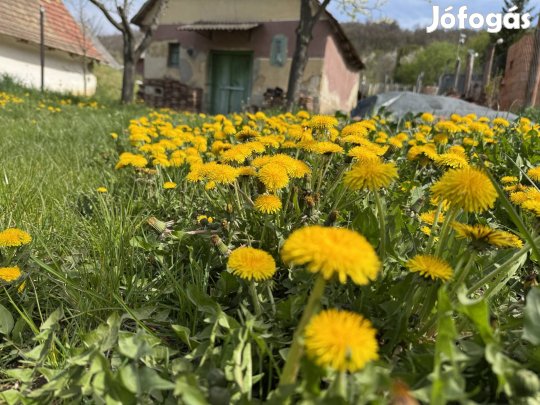 Panorámás zártkert pincével Héregen