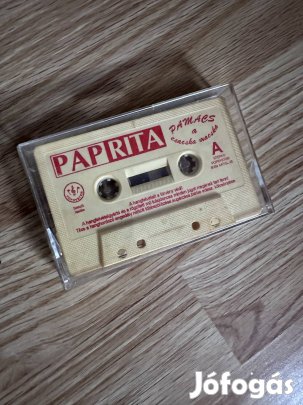 Pap Rita - Pamacs a csacska macska audiokezatta