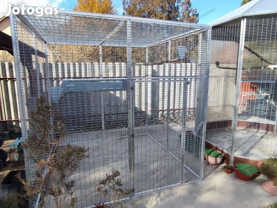 Papagáj , kisállat ketrec röpde kalitka