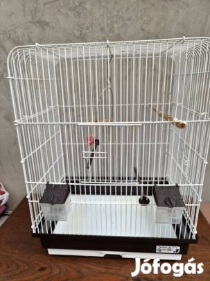 Papagáj/kanári kalitka