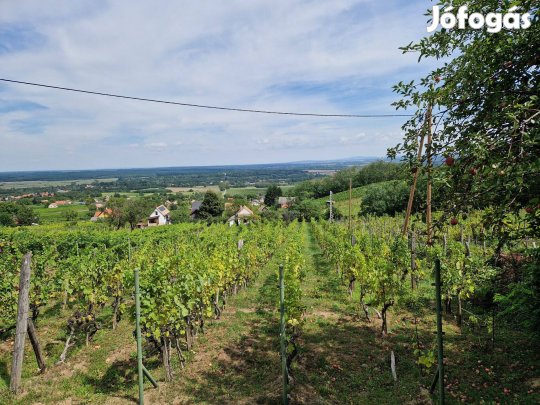 Páratlan panorámás szőlő telek