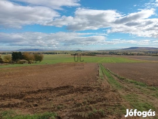 Páratlan panorámával, Kisgörbő szőlőhegyén 7 849 négyzetméteres hegyi