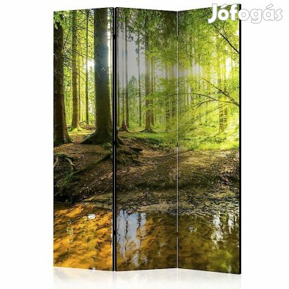 Paraván - Árnyékos tisztás