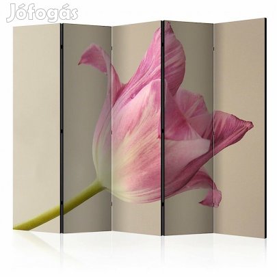 Paraván - Az én tulipánom II