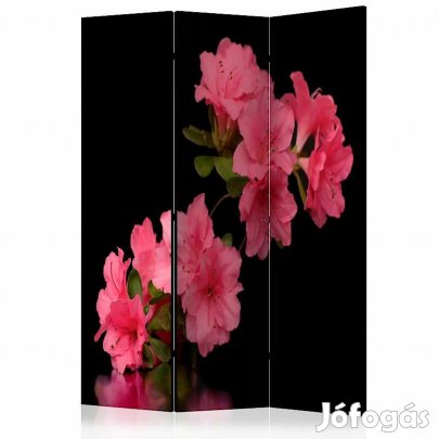Paraván - Azálea fekete háttérrel