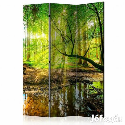 Paraván - Erdei patak