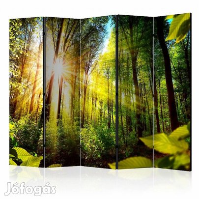 Paraván - Erdei rejtekhely II