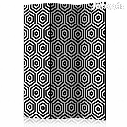 Paraván - Fekete-fehér hipnózis