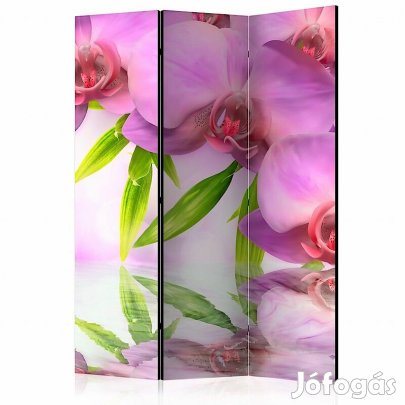 Paraván - Lila orchideák