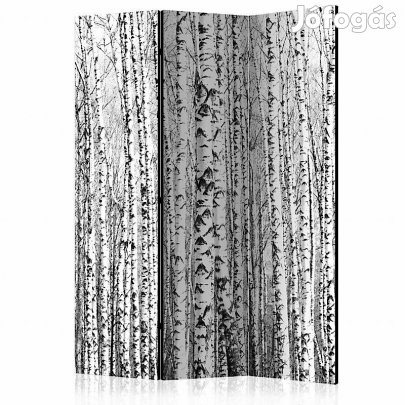 Paraván - Nyírfa erdő