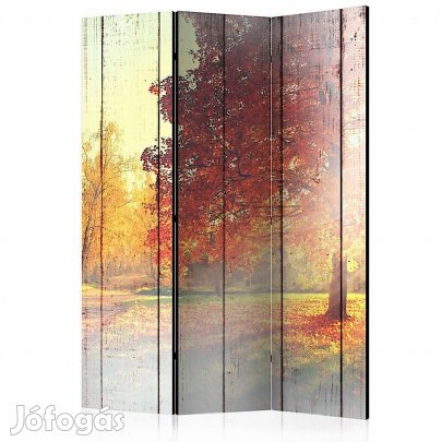 Paraván - Őszi napos fák