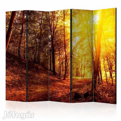 Paraván - Őszi séta az erdőben II