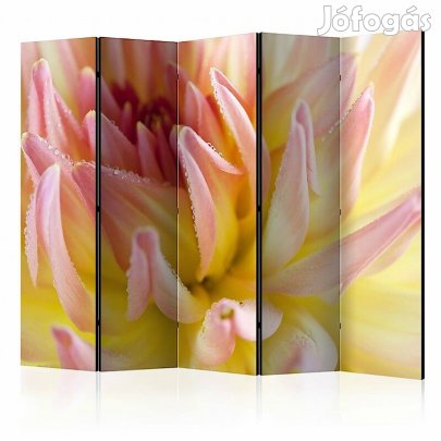 Paraván - Pasztell színű dália virág cseppekkel II