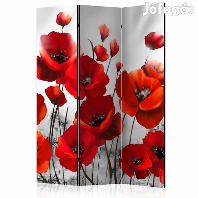 Paraván - Pipacsok a holdfényben