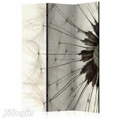 Paraván - Pitypang részlet