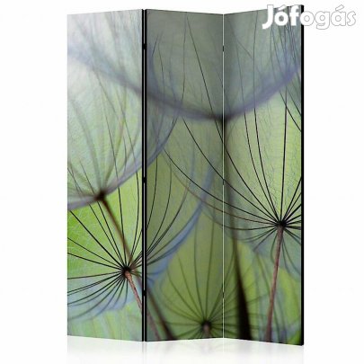 Paraván - Pitypangok