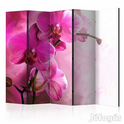 Paraván - Rózsaszín orchideák II