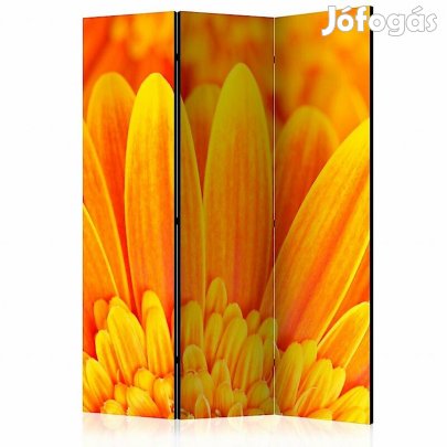 Paraván - Sárga gerbera százszorszépek