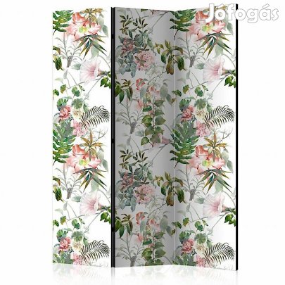 Paraván - Szép növények