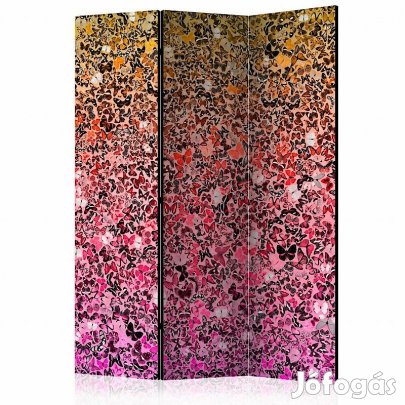 Paraván - Színes pillangók sokasága