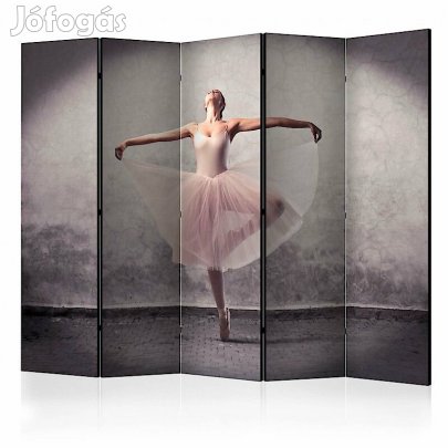 Paraván - Táncoló balerina IV
