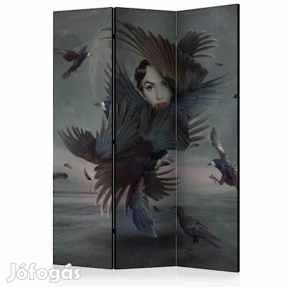 Paraván - Tollakkal eltakarva