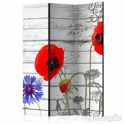 Paraván - Vadvirágok deszka háttéren