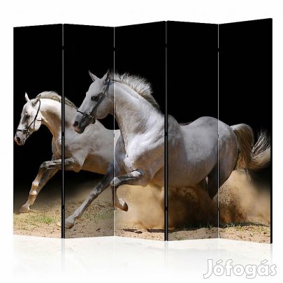 Paraván - Vágtató lovak a homokban II