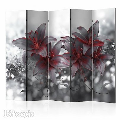 Paraván - Vörös csodaság 2