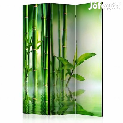 Paraván - Zöld bambuszok a vízben