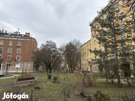 Park, első emelet, 2 szoba! Nagyzugló kedvelt részén, akár azonnal!