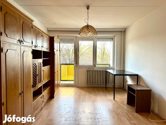 Parkra néző erkéllyel, 2. emeleti, 55 nm-es, liftes pane lakás eladó
