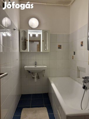 Parkra néző lakás Nagyzugló szívében