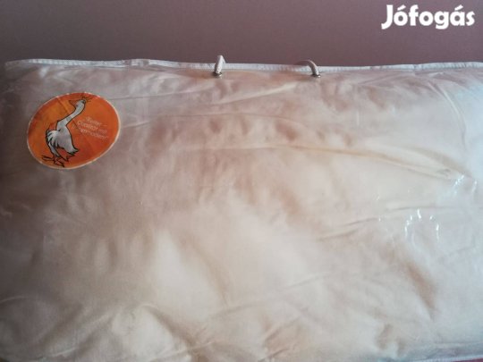 Párna, 60x40 cm olcsón!/71