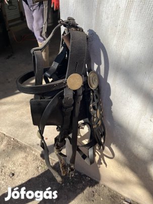 Páros kantár elado