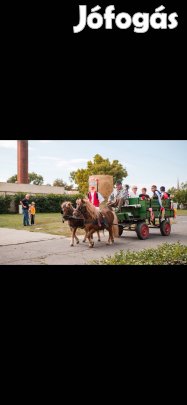 Páros ponik heréltek