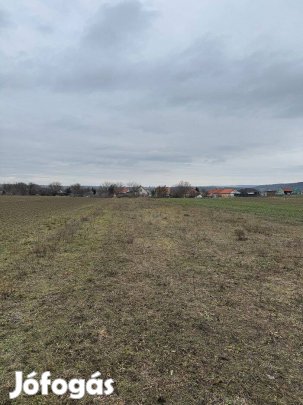 Pátka-Vargahegy, belterületi építési telek eladó