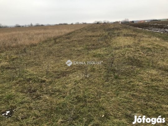 Pátkai eladó 2343 nm-es telek