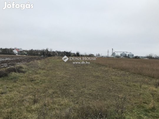 Pátkai eladó 2343 nm-es telek
