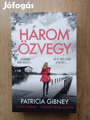 Patricia Gibney: Három özvegy - Lotti Parker 12.