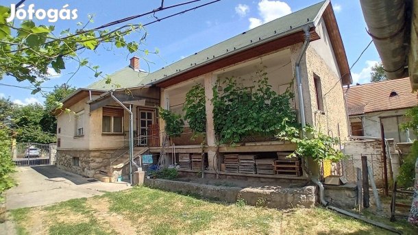 Pátyon két generációs, 102 m2 lakóterületű ház 4514 m2 telken eladó