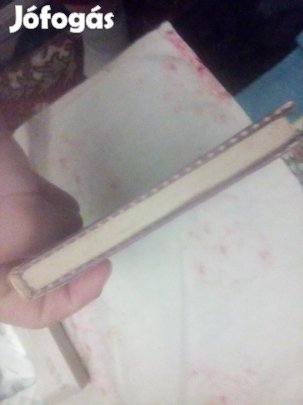 Paulina című könyv